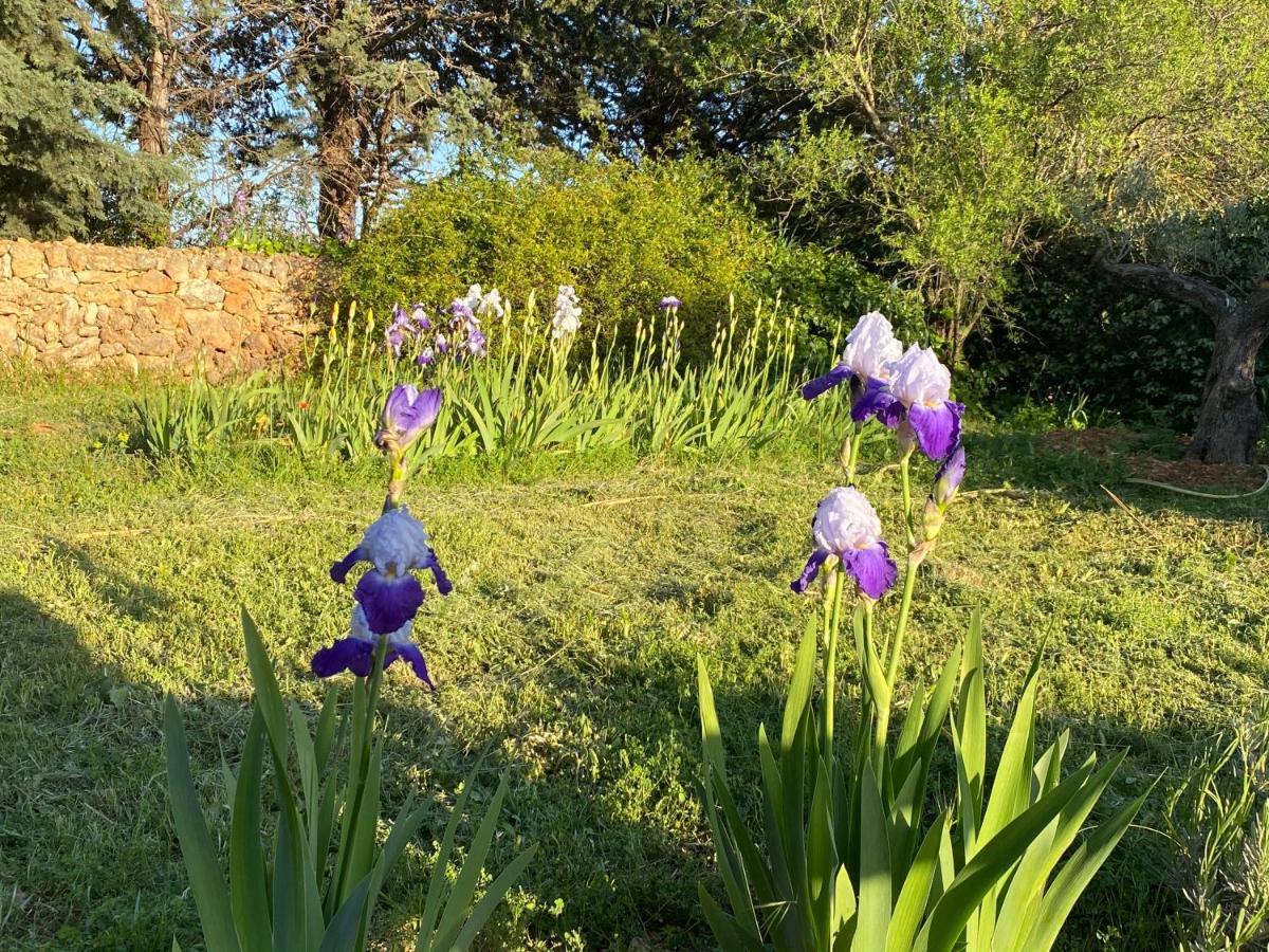 Villa Faro Provence Var Montfort-sur-Argens 외부 사진