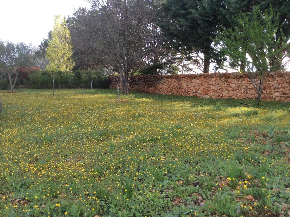 Villa Faro Provence Var Montfort-sur-Argens 외부 사진